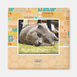 Happy cat, out of happy magnet