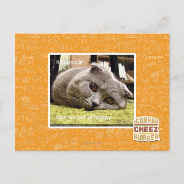 Happy cat, out of happy postcard (Front)