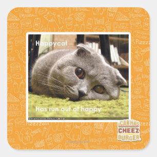 Happy cat, out of happy square sticker