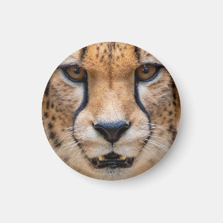 Happy Cheetah Magnet