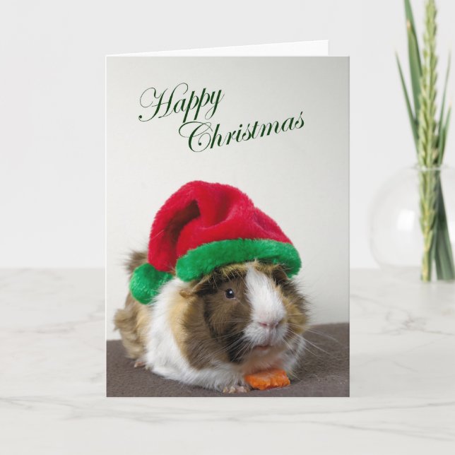 Happy Christmas from Scruffy Holiday Card (Front)