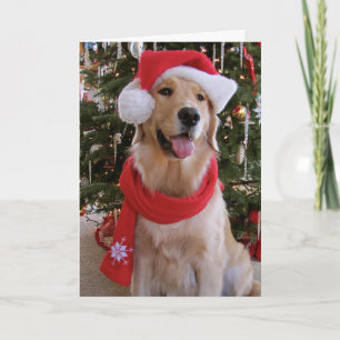 Happy Christmas Golden Holiday Card