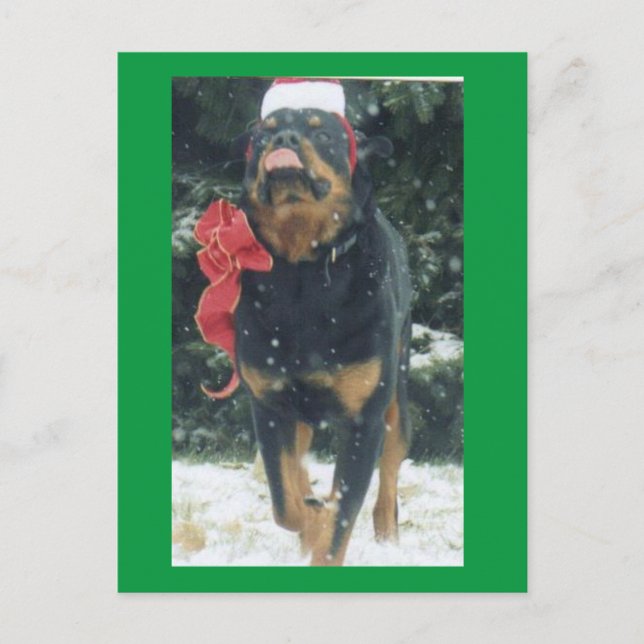 happy christmas rottweiler w/santa hat, bow, snow postcard (Front)