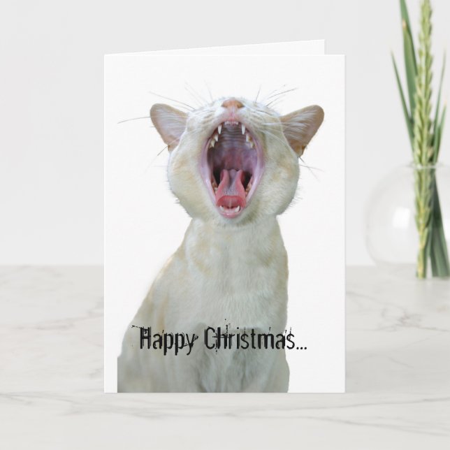 Happy Christmas to all cool cats out there! Holiday Card (Front)