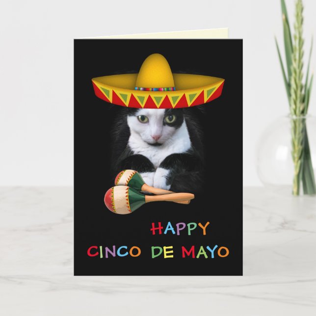 Happy Cinco De Mayo Cat Card (Front)