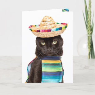 Happy Cinco De Mayo Cat in Sombrerro Humour Holiday Card