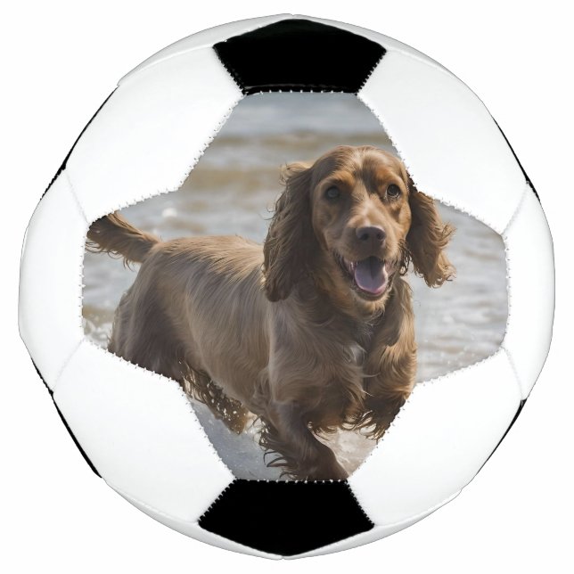 Happy Cocker Spaniel Beach Fun Day, Soccer Ball (Front)