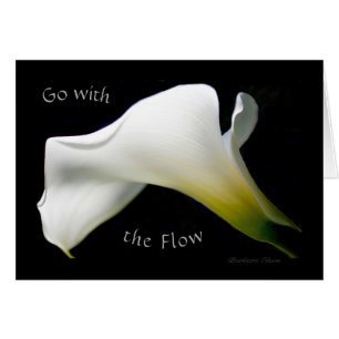 Happy Continuation Day: Go with the Flow: