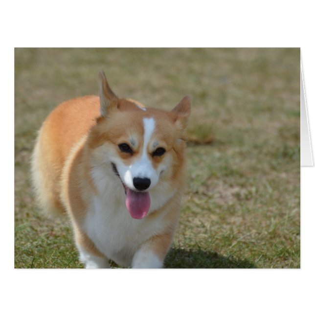 Happy Corgi (Front Horizontal)