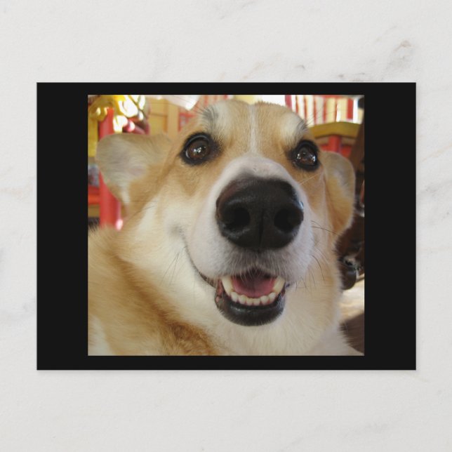 Happy Corgi postcard (Front)