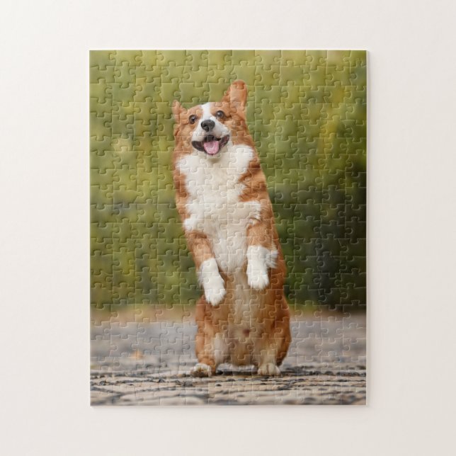 Happy Corgi Puppy Standing Photo Jigsaw Puzzle (Vertical)