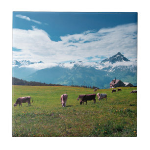 Happy Cows on the Farm in Switzerland Ceramic Tile