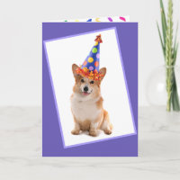 Happy Cute Corgi Birthday