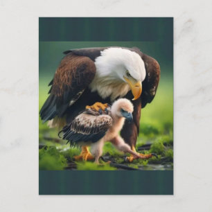 Happy Dad's Day American Father Like an Eagle Holiday Postcard