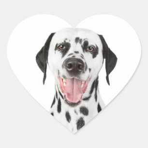 Happy Dalmatian Puppy Dog Greeting Stickers Labels