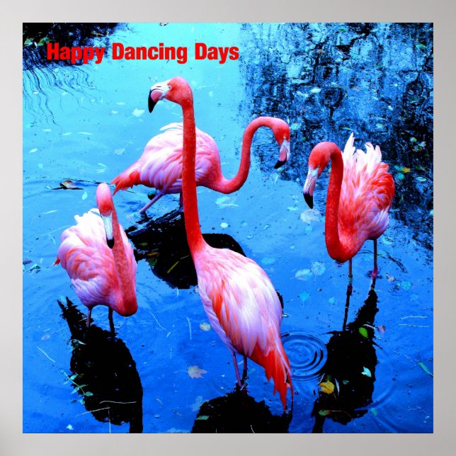 Happy Dancing Days flamingos Poster (Front)