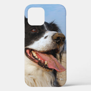 Happy dog at the beach Case-Mate iPhone case