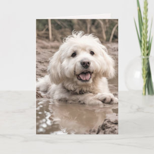 Happy Dog In Mud Puddle Card