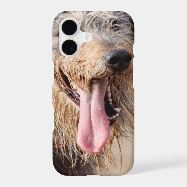 Happy dog on a beach (Back)