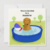 Happy Dog Pool Party | Cute Golden Retriever