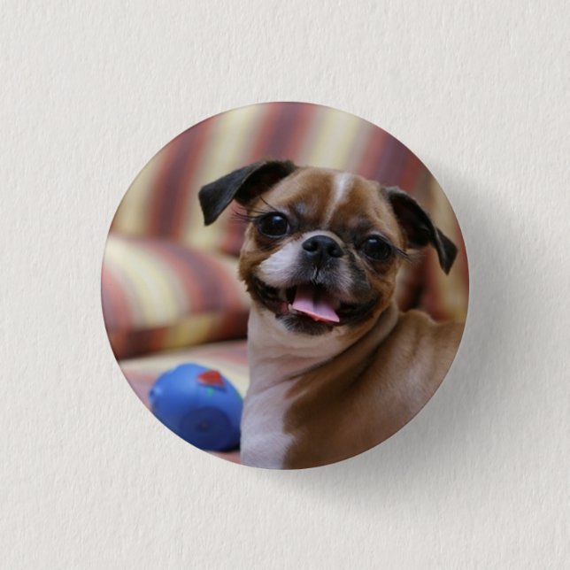 Happy Dog with Toy 3 Cm Round Badge (Front)