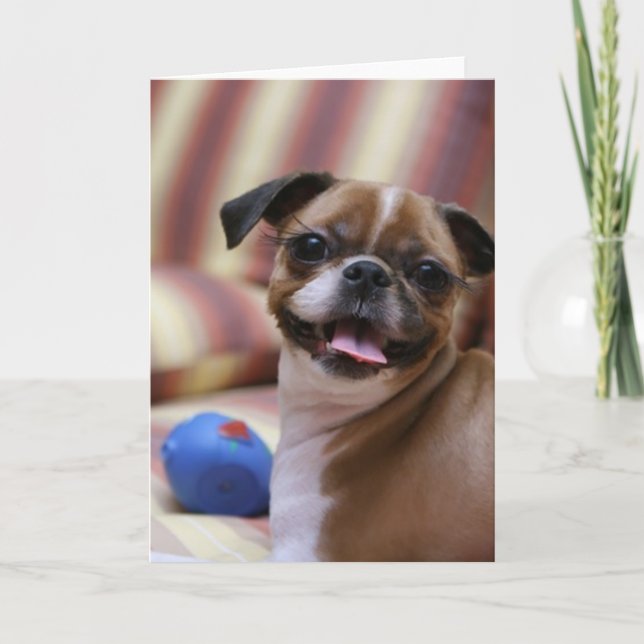 Happy Dog with Toy Card (Front)