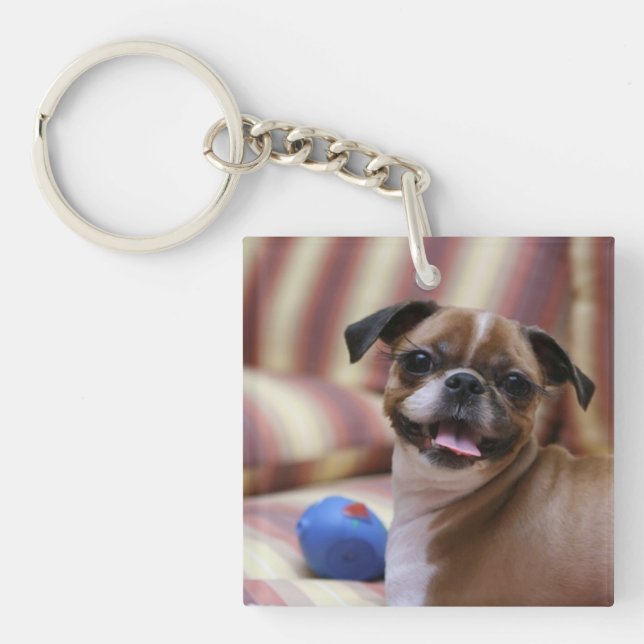 Happy Dog with Toy Key Ring (Front)