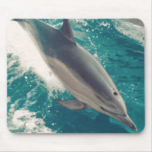 Happy Dolphin Mouse Pad