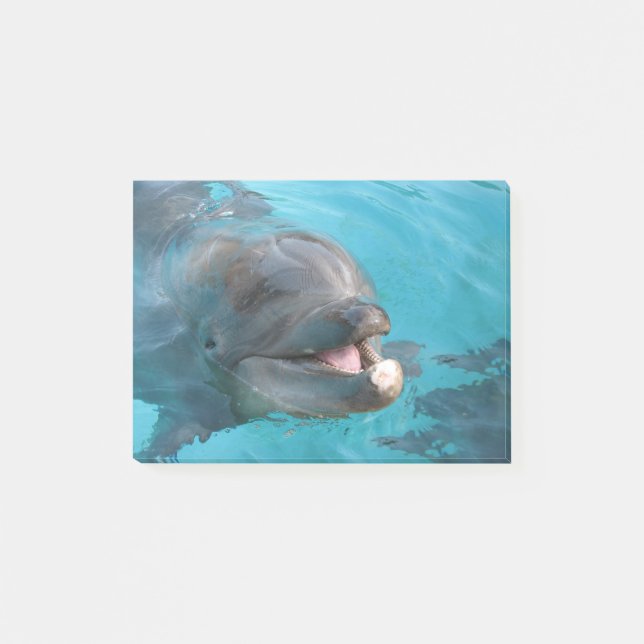 Happy Dolphin Post-it Notes (Front)
