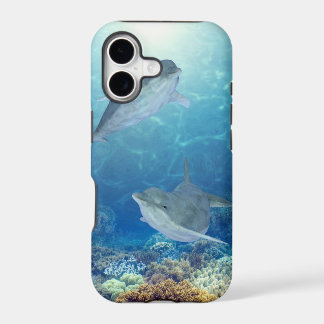happy dolphins