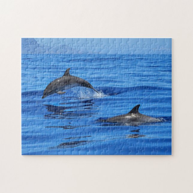 Happy Dolphins Jigsaw Puzzle (Horizontal)