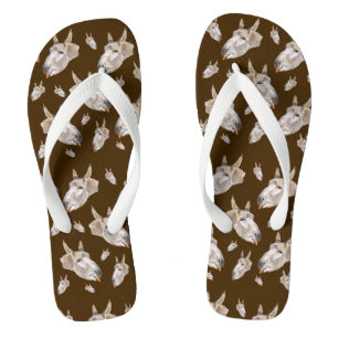 Happy Donkey Eating A Carrot, Thongs