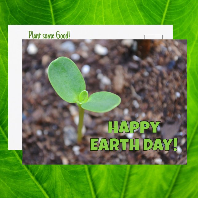 Happy Earth Day Seedling New Growth Photographic Postcard (Creator Uploaded)