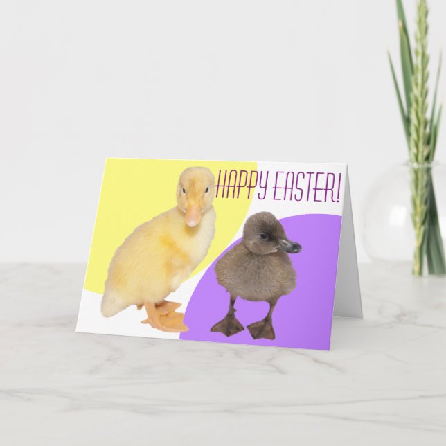 Happy Easter Adorable Fuzzy Ducklings Photography Holiday Card (Front)