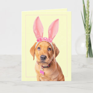 Happy Easter Adorable Labrador Puppy in Bunny Ears Holiday Card