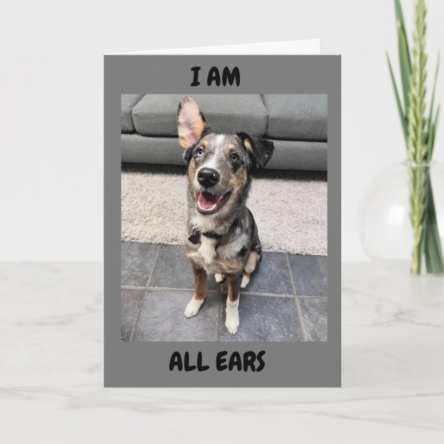 **HAPPY EASTER** ALL "EARS" TO "HEAR" YOU HAVE ONE HOLIDAY CARD (Front)