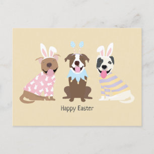 Happy Easter American Pit Bull Terrier Dogs Postcard