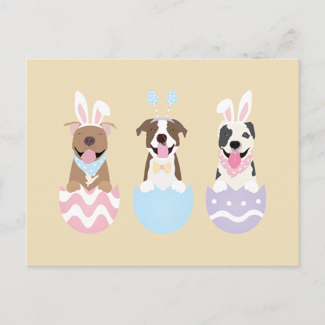 Happy Easter American Pit Bull Terrier Dogs Postcard (Front)