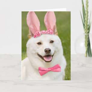 Happy Easter Anyone Shiba Inu Dog In Bunny Ears Holiday Card