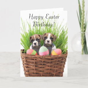 Happy Easter Birthday boxer pups card