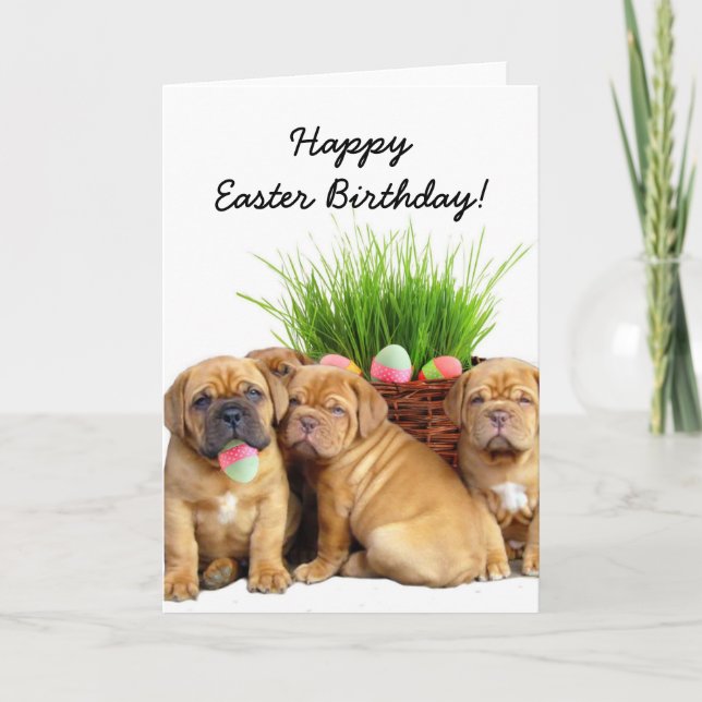 Happy Easter Birthday Dogue de Bordeaux pups card (Front)