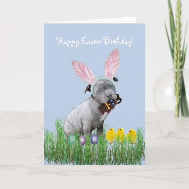 Happy Easter Birthday  Pitbull puppy card (Front)
