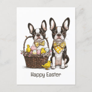 Happy Easter Boston Terrier Dogs Holiday Postcard