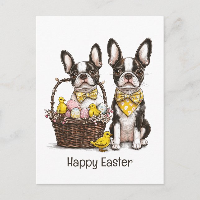 Happy Easter Boston Terrier Dogs Holiday Postcard (Front)