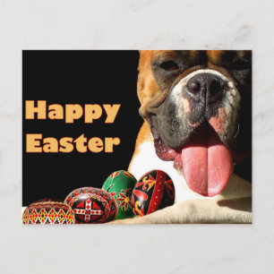 Happy Easter Boxer Dog postcard