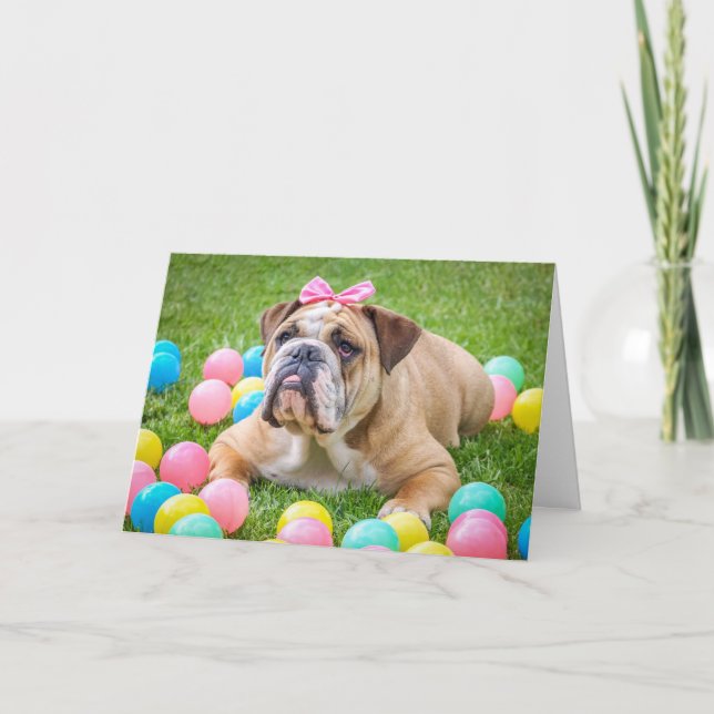 Happy Easter Bulldog Holiday Card (Front)