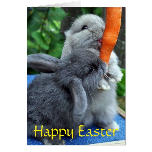 Happy Easter Bunnies Greeting Card (Front)