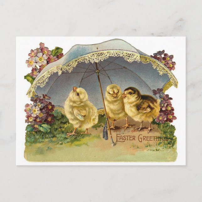 Happy Easter Chicks Vintage Holiday Postcard (Front)
