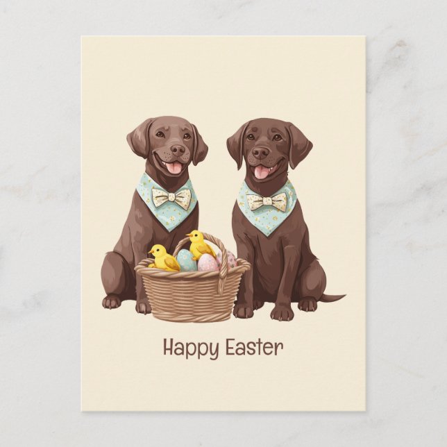Happy Easter Chocolate Labrador Retriever Dogs Postcard (Front)