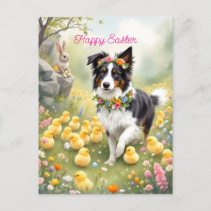 Happy Easter Collie and Chicks Holiday Postcard